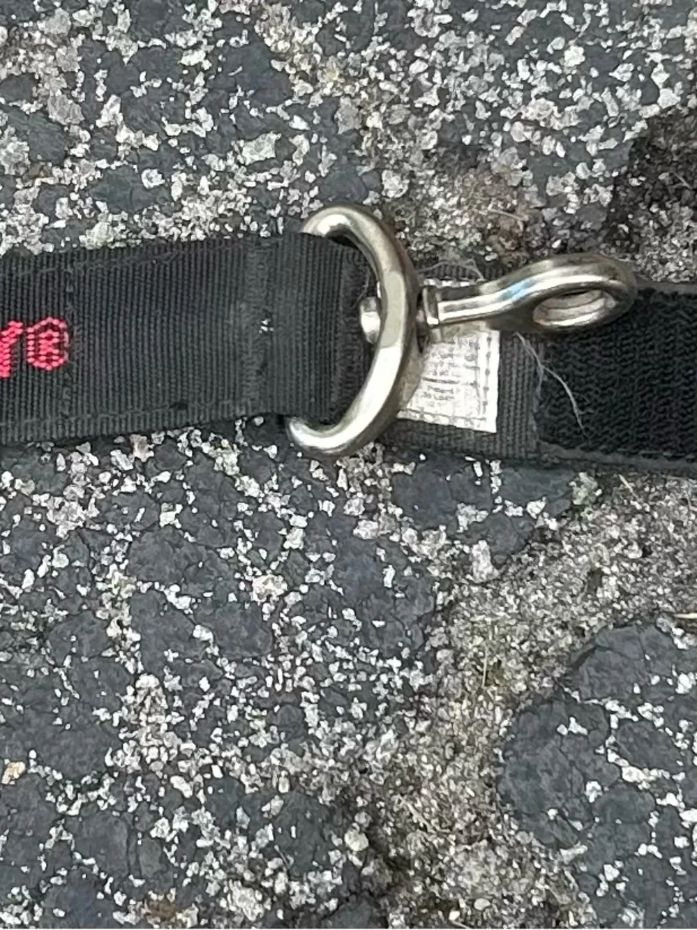 Black Nylon Dog Leash with Red Accent